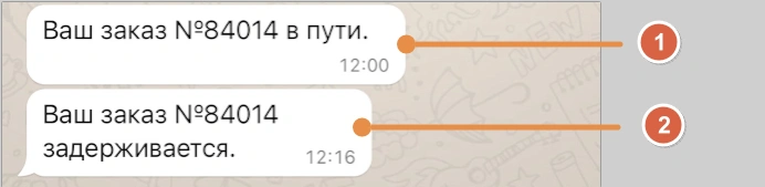 Скриншот чата: два сообщения о статусе заказа от бизнеса, без ответа клиента