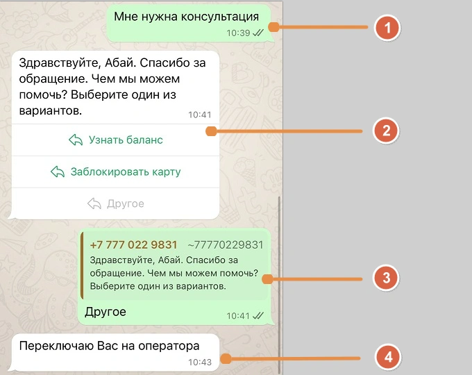 Скриншот чата: клиент просит консультацию, бизнес отвечает с вариантами и переключает на оператора